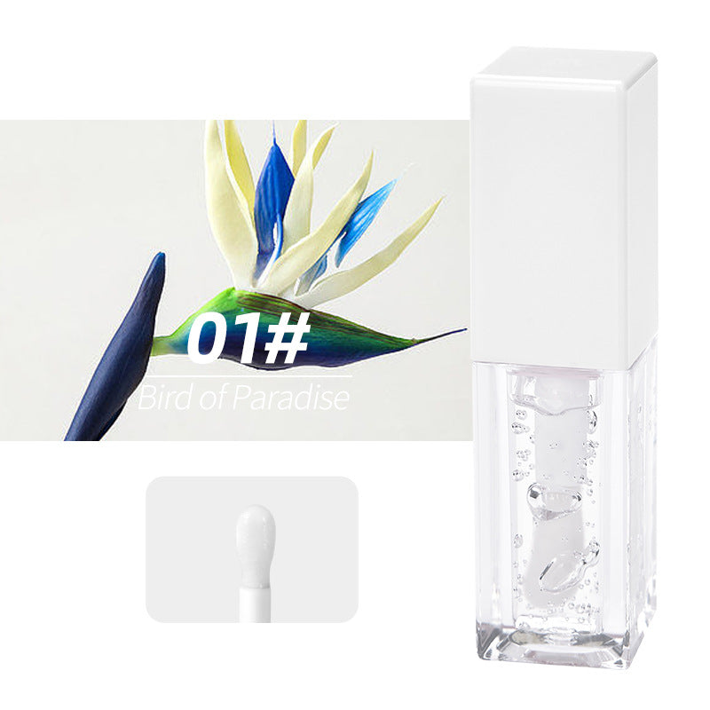 Gloss lèvres effet eau miroir – Brillance intense, hydratant & repulpant