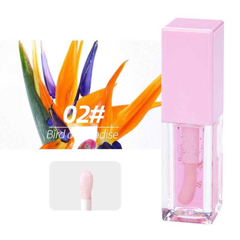 Gloss lèvres effet eau miroir – Brillance intense, hydratant & repulpant