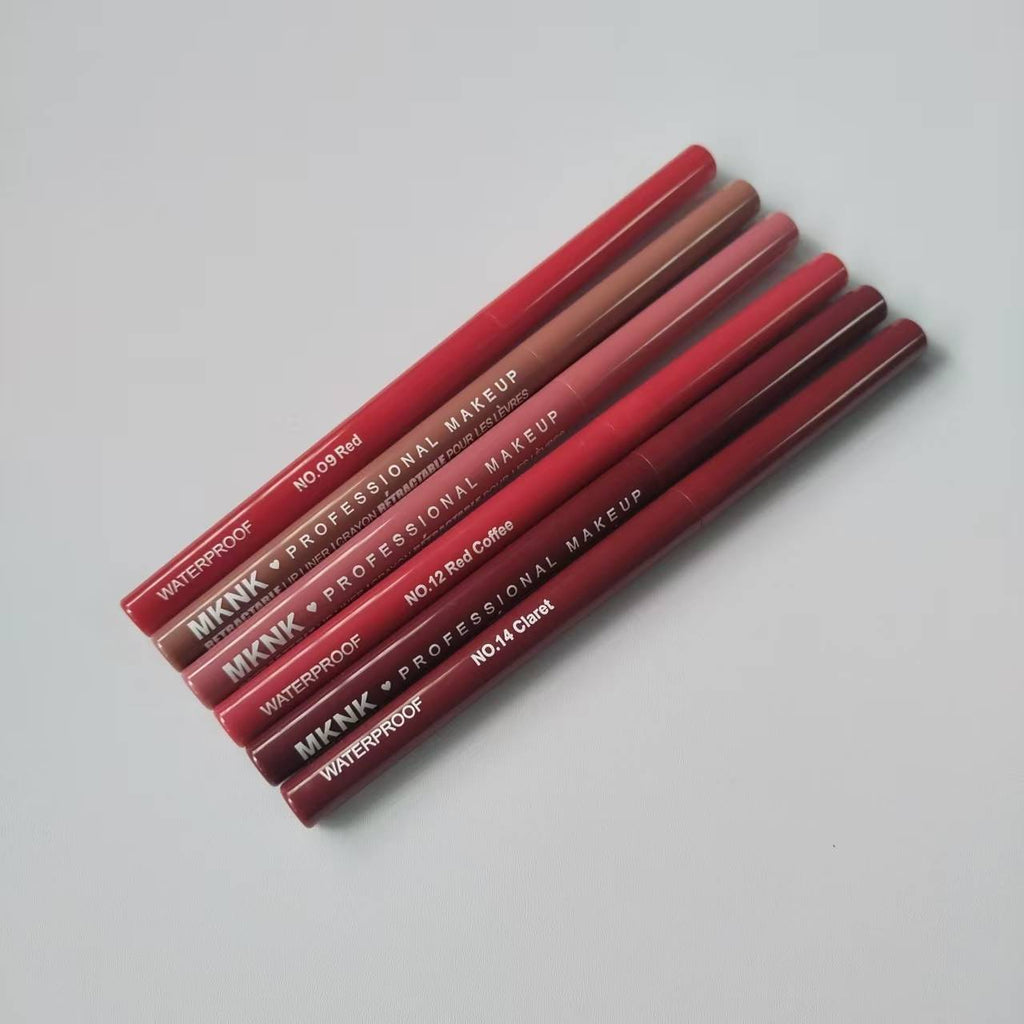 Crayon à lèvres rétractable multicolore – Waterproof, hydratant & longue tenue