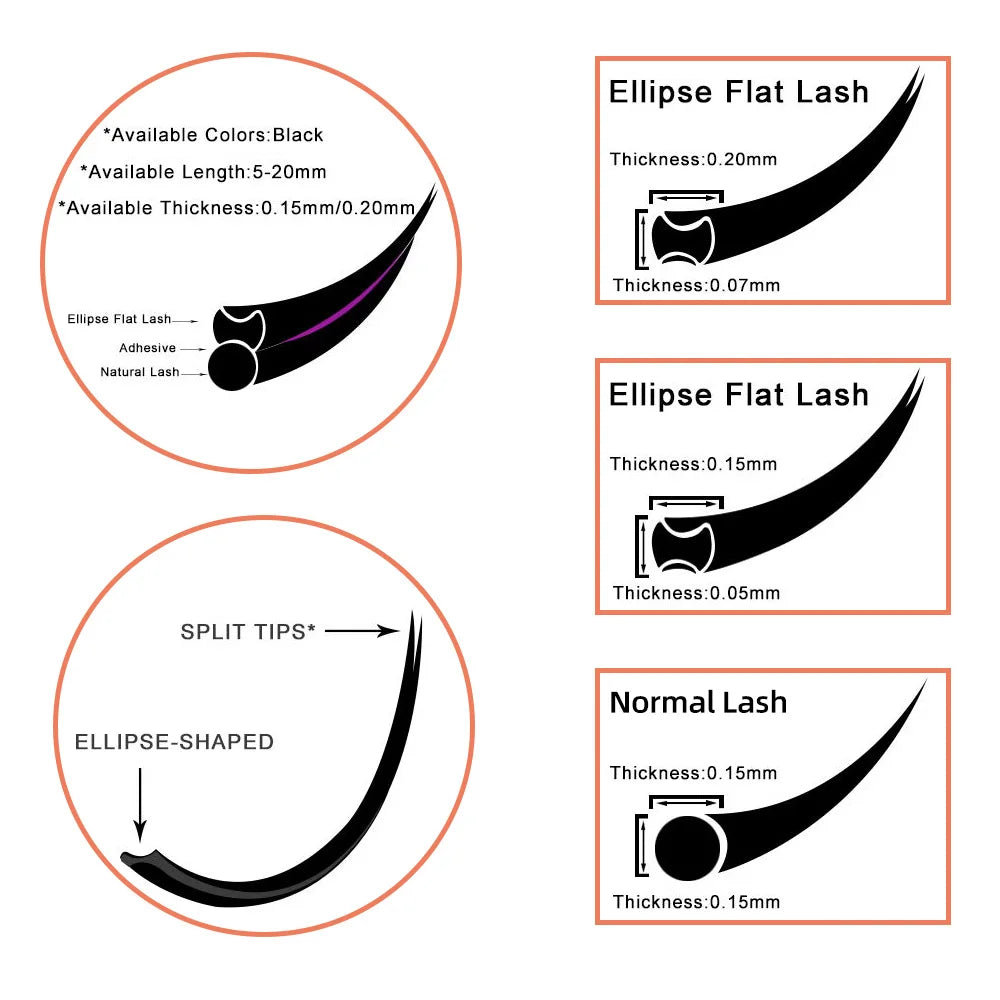 Extensions de Cils Plats Ellipse Lashrujade – Légèreté & Tenue Exceptionnelle
